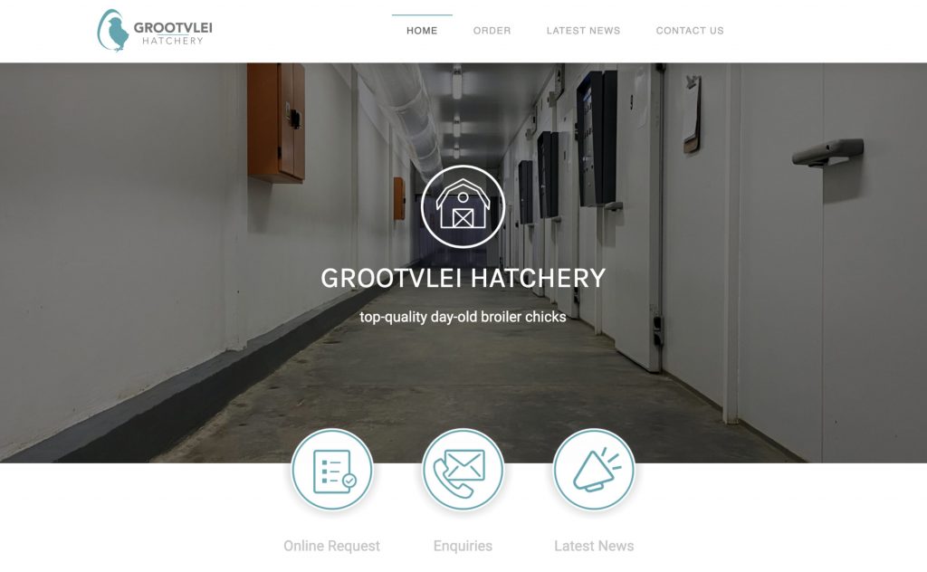 Our New Website